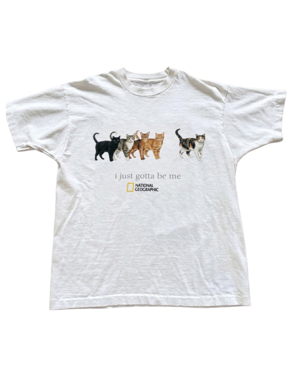 Gildan White 'I Just Gotta Be Me' Cat Graphic Tee